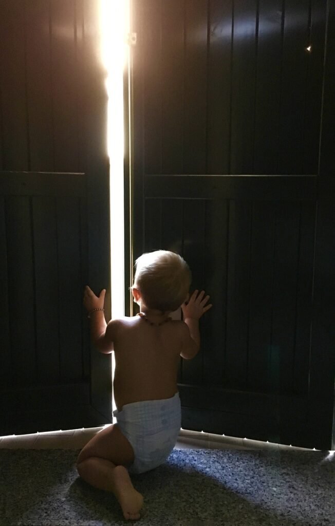 Janela com luz e violetas ao lado, remetendo ao livro Violetas na Janela